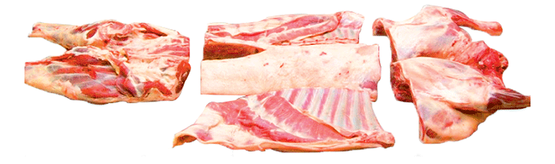 Lamb 6 way cut