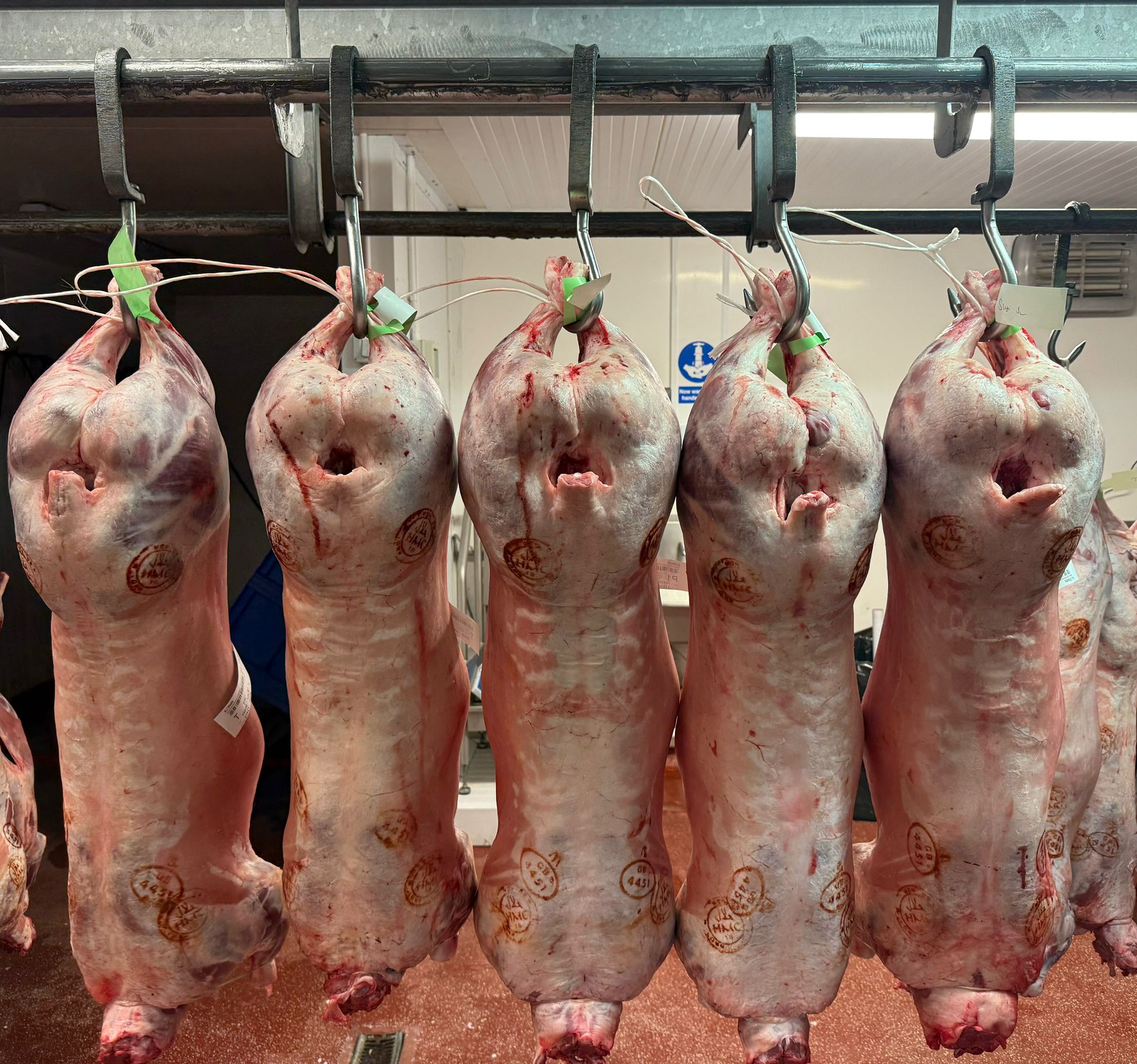 Whole Lamb Carcass